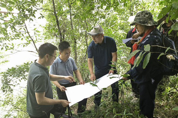 041659599266201663.jpeg 2.jpg